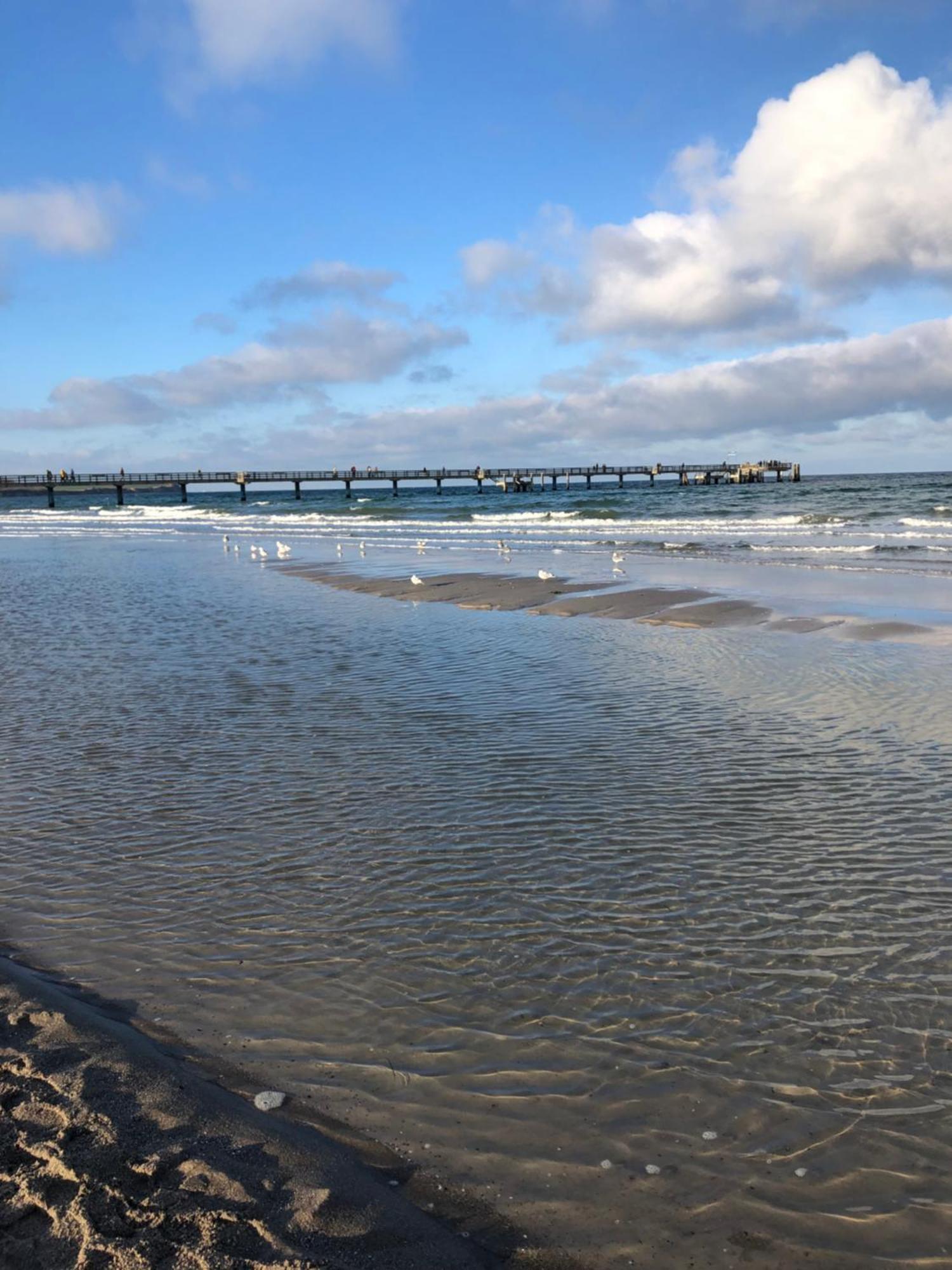בולטנהאגן Strandvilla Waldhaus מראה חיצוני תמונה